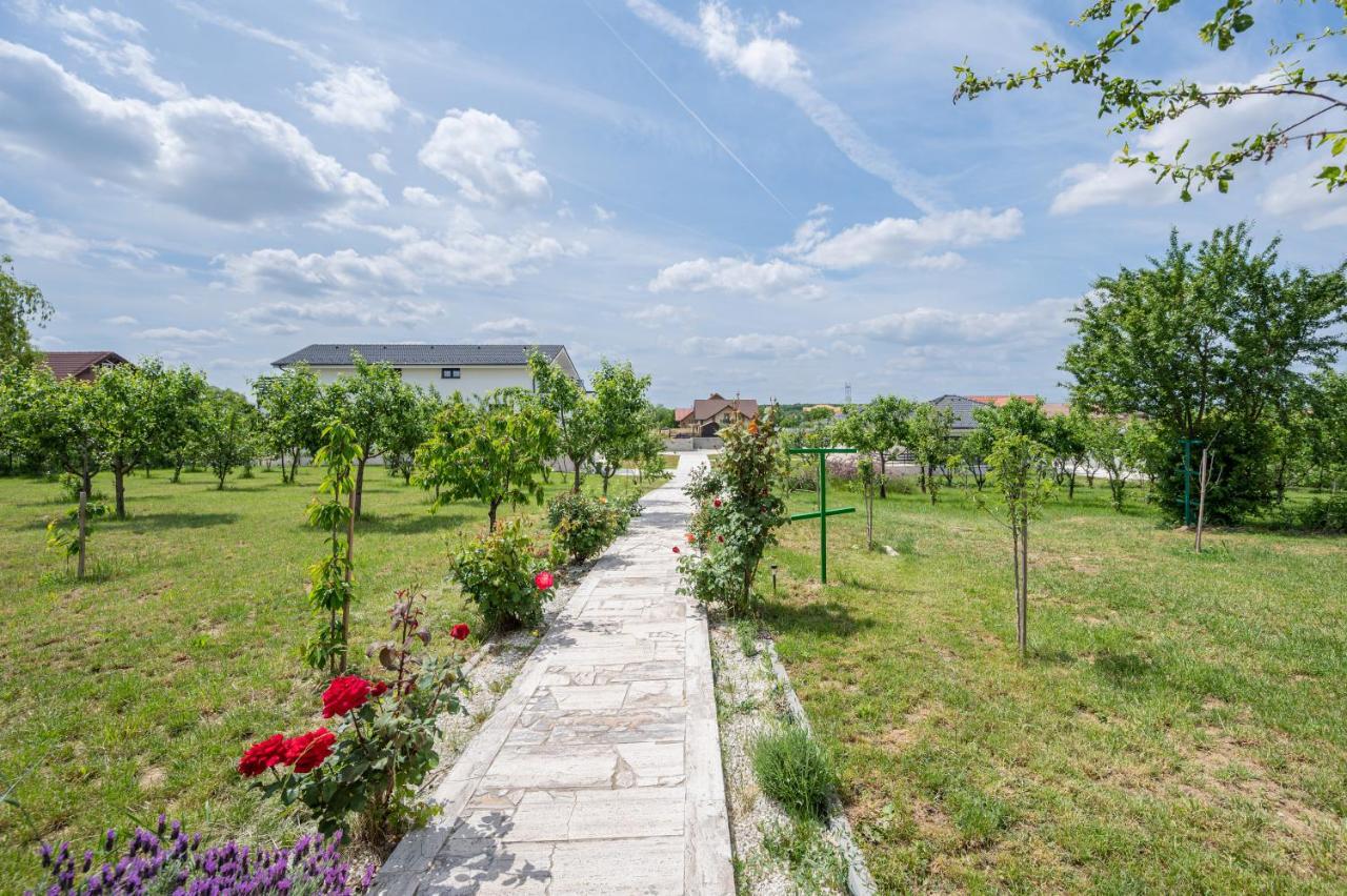Apartament Casa Fischer Ciheiu Zewnętrze zdjęcie