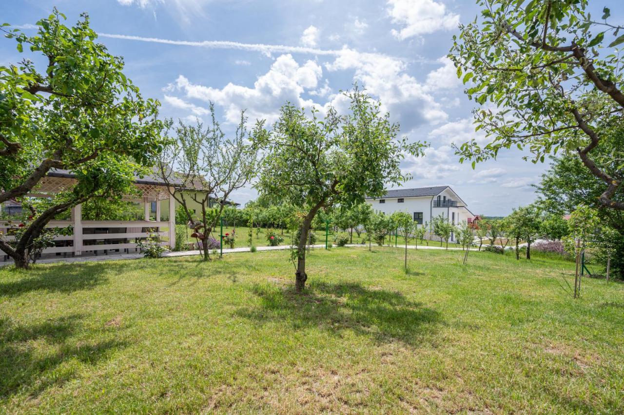 Apartament Casa Fischer Ciheiu Zewnętrze zdjęcie